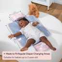 BabbleRoo Baby Changing Pad - Comfortable Portable Changing Pad, Compact, Fits in Any Diaper Bag - Lightweight and Soft with Cute Designs, Convenient Pockets, Extra Head Support  Pink Birdy