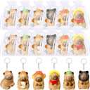 Hollowfly Capybara Stress Balls Employee Appreciation Gifts Mini Animal Relief Keychain for Social Worker, Staff Squeeze