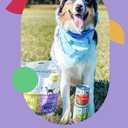 I and love and you Wet Dog Food - Baad Mooon On The Rise Variety Pack - Beef + Lamb, Grain Free, Filler Free 13oz can, 6pk (EXP 10/28/28)