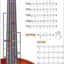 QMG Cello Fingering Chart with Color-Coded Notes, Cello Scales Techniques Suitable for All Levels