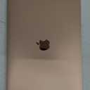 Apple 2020 MacBook Air with Apple M1 Chip, 13-inch, 8GB RAM, 256GB SSD Storage, Gold