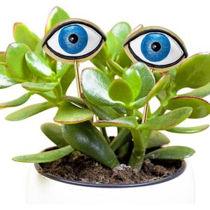 Tuitessine Resin Plant Eyes Stakes Set of 2, Eyeball Garden Plant Accessory, Evil Eye Plant Picks, Indoor Outdoor Plant Pot Decoration, Plant Lover, Plant Mom, Plant Lady Idea