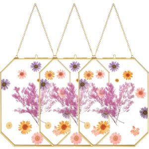 Treela 3 Pcs 8 x 10 Inch Hanging Gold Glass Floating Frame Octagon Brass Double Clear Pressed Flower Frames for Herbarium Plant Specimen Artwork Display Photo Dried Flowers Home DIY Decor
