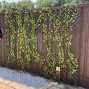Expandable Garden Trellis Plant Support Willow Lattice Fence Panel for Climbing Plants Vine Ivy Rose Cucumbers Clematis 36X92 Inch