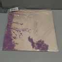 There Is a Bomb in Gilead Vinyl