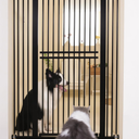 55 Inch Extra Tall Pet Gate with Small Cat Door, Adjustable 29.55" and -40.55" Wide Baby Gate, Tall Dog Gates for Doorway, Stairs, House,Black