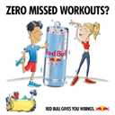 Red Bull Sugarfree Energy Drink, Variety Pack | Zero, Peach, Iced Vanilla Berry, contains caffeine, taurine, B-vitamins, sweeteners, and water, 8.4 fl oz, pack of 24 cans (EXP 12/10/26)