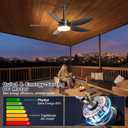 Phylluz Outdoor Ceiling Fan with Lights, 42 Inch Plug in Gazebo Fans with Remote APP Control, Quiet DC Motor, Dimmable 3CCT, Waterproof Hanging Fans for Patios, Porch, Black