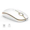 VssoPlor Type C Wireless Mouse, USB C Mouse Dual Mode 2.4G Cordless Mice with USB and Type C Receiver Compatible with PC, Laptop, MacBook and All Type C Devices-White and Gold