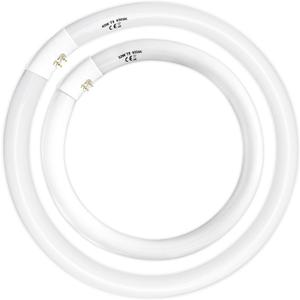 Celiwace FC16T9 40 Watt and FC12T9 32W Set 6500K, 16 inch T9 40W Circline Light Bulbs, 12 inch 32W Circular Fluorescent Round Bulb CRI 80, DL 4700 Lumen G10q