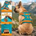 No-Pull Reflective Dog Harness with Handle Soft Padded Vest for Small Medium Large Dogs Heavy Duty Adjustable Anti-Choke Pet Harness with Front & Back Clip Harness for Walking, Training XS