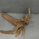 majoywoo Natural Large Driftwood for Aquarium Decor Reptile Decor, Assorted Spider Wood Branch 13-17" Long, Fish Tank Decoration