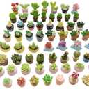 Miniature Potted Plants Resin Decoration 30pcs Random Set for Doll House Pretend Play Toys DIY Mini Home Garden Flowerpot Succulent Planter