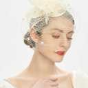 Cizoe Fascinator Hats for Women Tea Party Headband Kentucky Derby Wedding Flower Mesh Veil Fascinator (White)