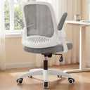 NEO CHAIR Office Desk Gaming Ergonomic Computer Chair with Lumbar Back Support Adjustable Height Swivel Rolling Wheels Flip-up Arms Mesh Chair for Home Vanity (Grey)