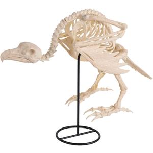 JOYIN Vulture Skeleton Halloween Decorations 19.7 inch Posable Animal Skeletons with Movable Joints for Indoor Outdoor Yard Garden Lawn Photo Props Decor, Trick or Treat, Spooky Scene Party Favors