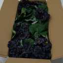 Hananona 6 Pcs Artificial Geranium Flowers for Outdoors Geranium Silk Flowers Outdoor UV Resistant Garden Plants Faux Black Flower for Home Kitchen Halloween Table Centerpieces Decor (6, Black)