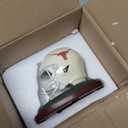 The Memory Company | Licensed NCAA Resin Helmet