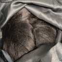 LUVME HAIR 10 Inch Light Yaki Straight Bob Wig with Bangs Human Hair Protective Wig Realistic HD Lace Short Black Bob Wigs, Ready to Go Blunt Cut Glueless 180 Density