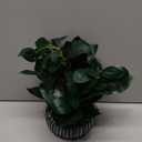 AlphaAcc Artificial Succulents Plants Decor Greenery Fake Succulents Indoor Potted Fake Plant with Rustic Black Clay Planter for Farmhouse Room Bathroom Bedroom Kitchen Office Dese Coffee Table Decor (12.8" H)