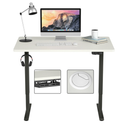 Black Electric Standing Desk Sit to Stand Height Adjustable Dual Motor