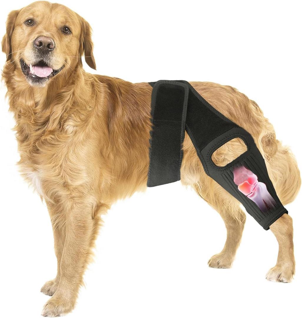 Knee Brace for Dogs for Torn ACL/CCL & Hind Leg Support, for Knee Cap Dislocation, Arthritis - Keeps The Joint Warm and Stable - Extra Support - Reduces Pain and Inflammation (M)