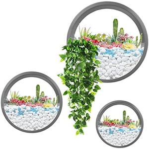 VEVLU 3 Pack Set Wall Planters,Modern Round Glass Wall Planter Succulent Planter Circle Iron Hanging Planter Vase for Herb,Small Cactus Perfect for Balcony, Room and Patio Decor (Grey)