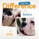 Bulldog Wrinkle Wipes for Dogs  Deodorizing & Soothing with Honeysuckle Extract  Non-Irritating, Cleans Wrinkles, Folds, Paws & Tail Pockets  for Bulldogs, Pugs & Frenchies (100 Count)