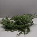 Norfolk Pine Garlands: Artificial Green Garland for Christmas Decorations - Realistic Greenery Garland for Mantel, Fireplace Table, Christmas Garland for Indoor, Outdoor Holiday Xmas Decor 