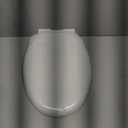 Signature Hardware 447334 Elongated Closed-Front Toilet Seat And Lid with Soft Close and Quick Release