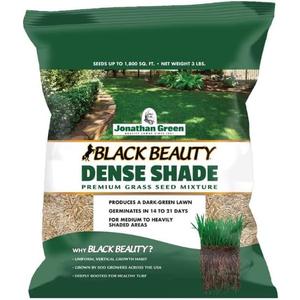 DENSE SHADE GRS SEED 3#