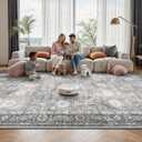 Entryway Rug, Washable Soft Non Slip Low Pile 2x3 Rug, Small Entrance Rugs Indoor for Bedroom, Kitchen, Laundry, Distressed Grey