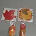 Cheerland Fall Leaf Garlands Thanksgiving Party Decorations Maple Banner Backdrop Hanging Decor Streamer for Birthday Classroom Picnic Wedding Baby Shower Autumn Thanksgiving Harvest Party Supplies