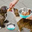 8 Pcs Hammered Stainless Steel Dog Bowls 2 Cup/16 oz, 5.5 Dia Metal Pet Food and Water Bowls Bulk Thickened Durable Replacement Dish for Small Medium Large Dog (Mint Green)