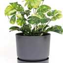Elly Décor 8 inch Plastic Cylinder Planter Pot with Self-Watering Saucer and Drainage Hole,Lightweight & Extremely Durable, 8"x 8", Gray