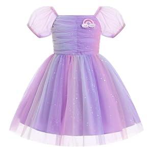 Toddler Girls Birthday Party Dress Sparkly Mesh Embroidery Tutu Dress Cake Crush Formal Dresses Purple 18-24 Months