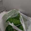 LOOBANI Realistic Artificial Grass Rug Indoor Outdoor, Dog Grass Mat with Drainage Holes and Replacement Artificial Grass Turf, Fake Grass for Garden Lawn Landscape Balcony Decoration, 3 Feet x 5 Feet