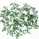 Mizii 2 Strands Artificial Vines Garland 68" Fake Vine with Small Green Leaves Silk Rose Leaf Faux Hanging Plants Greenery Decorations for Bedroom Room Table Centerpieces Wedding Decor (Rose Leaves)