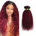 Ombre Burgundy Bundles Human Hair Curly 18 20 22 Inch Jerry Curly T1B/99J Burgundy Human Hair Bundles Brazilian Virgin Hair Quick Weave Bundles for Black Women