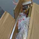 Smuxee Gold Luggage Rack, Foldable Suitcase Stand with Fabric Storage Shelf, Luggage Holder with 4 Nylon Straps for Guest Room Bedroom Hotel