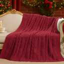 Amlie Home Chunky Knit Throw Blanket, Reversible Soft Chenille Breathable Cable Knitted Blanket for Couch and Sofa, Farmhouse Decorative Throw for Chair, 50"x60", Christmas Red
