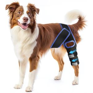 RUXAN Dog Knee Brace, Dog Leg Braces for Back Leg for Support, ACL Hind Leg Cruciate Ligament Knee Brace for Dogs Rear Leg with Torn ACL Keep The Joint Pain and Muscle Sore-M