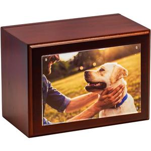 Companion Photo Urn with Acrylic Magnetic Picture Frame for Human and Pet Ashes, Cremation and Aquamation Urn for Adults, Infants, and Pets, Memorial Keepsake Urn (Maple, Medium)