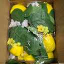 2 Pcs Artificial Lemon Flower Garland Vine, 14 Ft Fake Yellow Lemon Vines Silk Flowers Hanging Floral Garlands Decoration for Room Wall, Flower Themed Party, Wedding Supplies