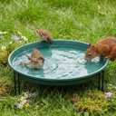 14.37 Ground Level Bird Bath for Outside Floor Standing Large Bird Bath for Patio Garden or Deck Black Steel Wire Stand with Dish Outdoor Feeder Water Bowl (Green)