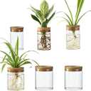 Glass Plant Propagation Station Set Water Planting Glass Vase for Herb Cuttings,Succulent Water RootingDesktop Planter Jars for Home,Office,Living Room,Bedroom Decor(6PCS)