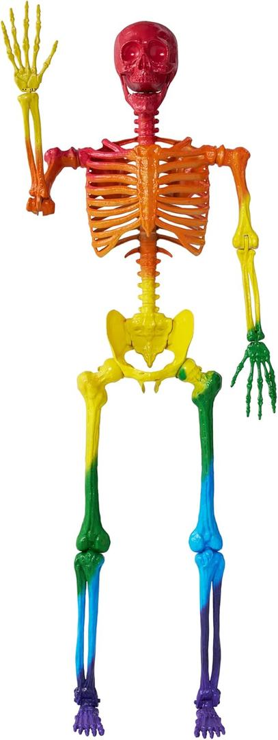 JOYIN 5.6 FT Halloween Posable Life Size Skeleton, Full Body Realistic Bones with Movable Joints, Rainbow Color Giant Skeletons for Halloween Decoration Outdoor, Haunted House Prop, Spooky Scene Party