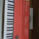 Loog digital piano - portable keyboard for beginners with musician grade sound, MIDI over USB-C rechargeable musical educational instrument, Compact, Set name: Loog piano, Measures only 18.92 x 7.5 x 2.71 inches and weighs 3.64 pounds
