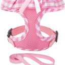 EXPAWLORER Cute Dog Harness and Leash Set - Pink Girl Dog Harness Checkered Step-in Design, Easy Adjustable No-Choke Lightweight Breathable Vest for Puppy Small Dogs Cats Outdoor Walking, Small