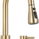 Pull-Down Kitchen Faucet for 2-Hole Sink,Single Handle Sink Faucet,with 3 Spray Modes and Separate Handle,Gold